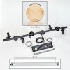 Koyoto Hanglamp, Kogellampje, Hanglamp Amber, Rookkleurig, 8-lichts