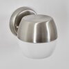 Bramdrupdam Wandlamp voor buiten, Wandlamp Nikkel mat, 1-licht