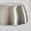Bramdrupdam Wandlamp voor buiten, Wandlamp Nikkel mat, 1-licht
