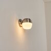 Bramdrupdam Wandlamp voor buiten, Wandlamp Nikkel mat, 1-licht