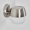 Bramdrupdam Wandlamp voor buiten, Wandlamp Nikkel mat, 1-licht