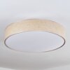 Foggia Plafondlamp Nikkel mat, 3-lichts