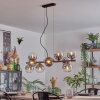 Gastor Hanglamp, Kogellampje, Hanglamp Duidelijk, Rookkleurig, 10-lichts