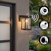Verup Wandlamp voor buiten, Wandlamp LED Zwart, 1-licht, Bewegingsmelder