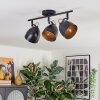 Bjedstrup Plafondlamp, Plafondspot Zwart, 3-lichts