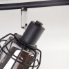Ennor Plafondlamp, Plafondspot Zwart, 4-lichts