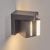 Swanek Wandlamp voor buiten, Wandlamp LED Antraciet, 1-licht, Bewegingsmelder