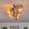 Gastor Plafondlamp, Kogellampje Amber, Duidelijk, Rookkleurig, 5-lichts