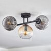 Koyoto Plafondlamp, Kogellampje Amber, Duidelijk, Rookkleurig, 3-lichts