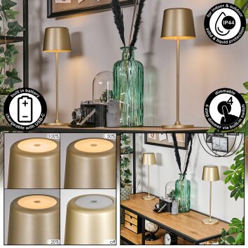 Belece Buiten tafellamp, Tafellamp LED Goud, Wit, 1-licht