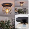 Apedo Plafondlamp, Kogellampje Amber, Duidelijk, 1-licht