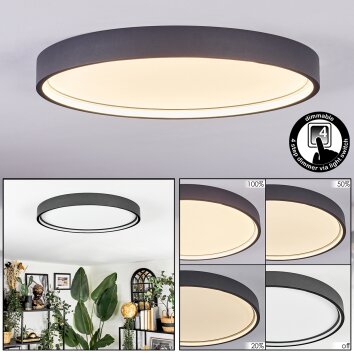 Filor Plafondlamp LED Zwart, 1-licht Filor Plafondlamp LED Zwart, 1-licht