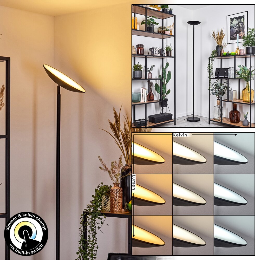 Dillingby Staande lamp LED Zwart, 1-licht main product photo