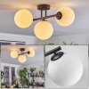 Gastor Plafondlamp, Kogellampje Wit, 3-lichts