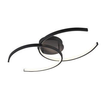 Guinea Plafondlamp LED Antraciet, 2-lichts