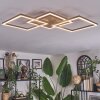 Brina Plafondlamp LED Bruin, Goud, 1-licht