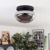Mertola Plafondlamp, Kogellampje Rookkleurig, 1-licht