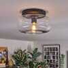 Boza Plafondlamp, Kogellampje Duidelijk, 1-licht