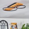 Pompu Plafondlamp LED Natuurlijke kleuren, Zwart, 1-licht