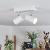 Gesteira Plafondlamp, Plafondspot Wit, 2-lichts