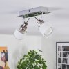 Maren Plafondlamp, Plafondspot LED Chroom, Nikkel mat, 2-lichts