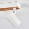 Gesteira Plafondlamp, Plafondspot Natuurlijke kleuren, Wit, 6-lichts