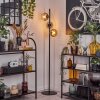 Koyoto Staande lamp Duidelijk, Rookkleurig, 3-lichts