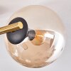 Gastor Plafondlamp, Kogellampje 42 cm Goud, Zwart, 3-lichts