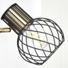 Bacau Muurlamp Zwart-Goud, 1-licht
