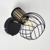 Bacau Muurlamp Zwart-Goud, 1-licht