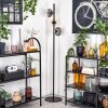 Koyoto Staande lamp Amber, Duidelijk, Rookkleurig, 3-lichts