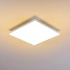 Salmi Plafondlamp LED Wit, 1-licht