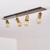 Lagunita Plafondlamp Oud messing, 4-lichts