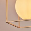 Finnseter Plafondlamp Champagne, 2-lichts