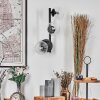 Chehalis Kogellampje, Wandlamp Duidelijk, 3-lichts
