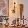 Chehalis Kogellampje, Wandlamp Duidelijk, 3-lichts