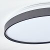 Sofo Plafondlamp LED Zwart, 1-licht, Afstandsbediening