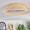 Barroco Plafondlamp LED Natuurlijke kleuren, Wit, 1-licht, Afstandsbediening
