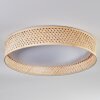 Barroco Plafondlamp LED Natuurlijke kleuren, Wit, 1-licht, Afstandsbediening