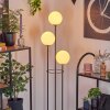 Gastor Staande lamp 30 cm Hout licht, Zwart, 3-lichts