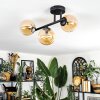 Chehalis Plafondlamp, Kogellampje Amber, 3-lichts