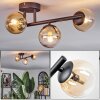 Chehalis Plafondlamp, Kogellampje Amber, Duidelijk, 3-lichts