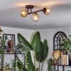 Chehalis Plafondlamp, Kogellampje Amber, Duidelijk, 3-lichts