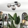 Chehalis Plafondlamp, Kogellampje Rookkleurig, 3-lichts