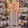 Gastor Staande lamp 25 cm Zwart, 3-lichts