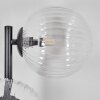Chehalis Kogellampje, Wandlamp 33 cm Duidelijk, 3-lichts