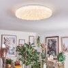 Dacen Plafondlamp LED Wit, 1-licht, Afstandsbediening