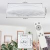 Dacen Plafondlamp LED Wit, 1-licht, Afstandsbediening