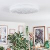 Dacen Plafondlamp LED Wit, 1-licht, Afstandsbediening