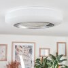 Dayen Plafondlamp LED Zilver, Wit, 1-licht, Afstandsbediening
